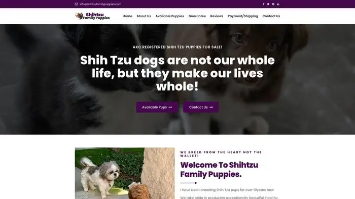 Screenshot of