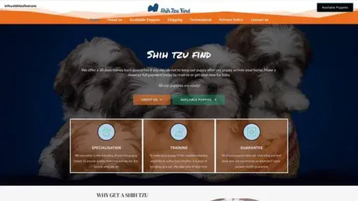 Screenshot of