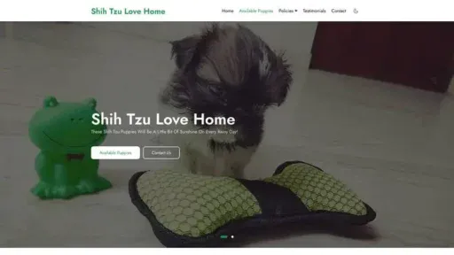 Screenshot of