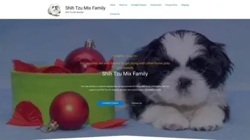 Screenshot of