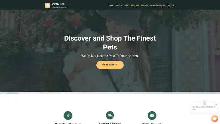 Screenshot of