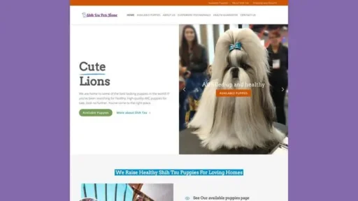 Screenshot of