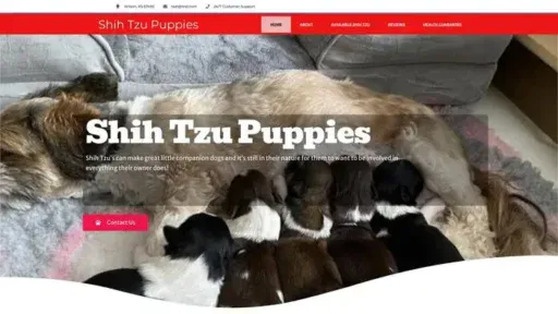 Screenshot of