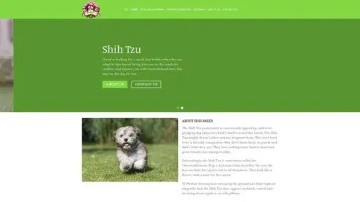 Screenshot of
