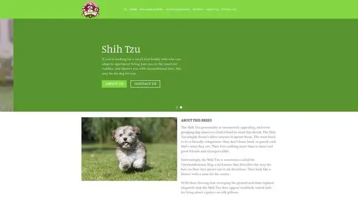 Screenshot of