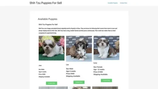 Screenshot of
