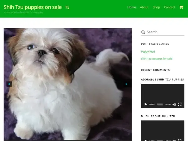 Screenshot of