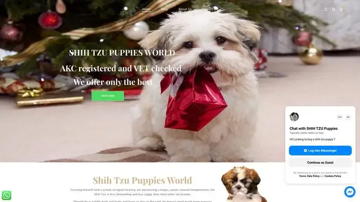Screenshot of