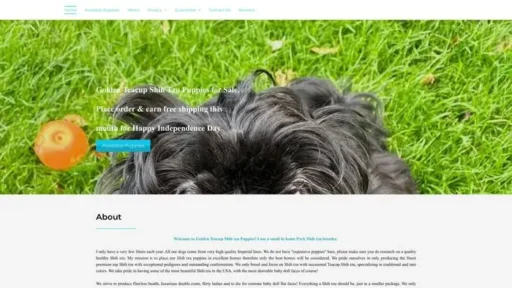 Screenshot of