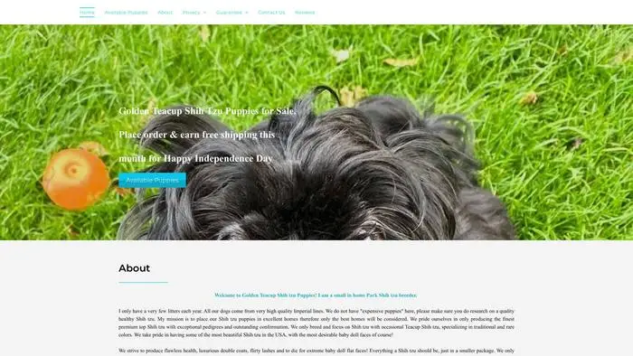 Screenshot of
