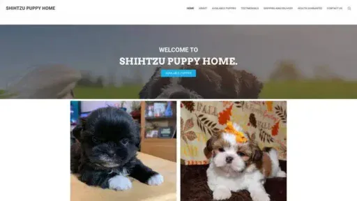 Screenshot of