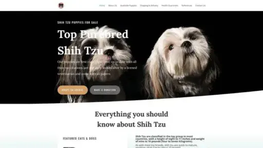 Screenshot of