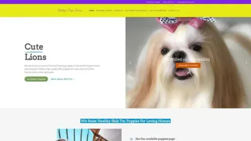 Screenshot of