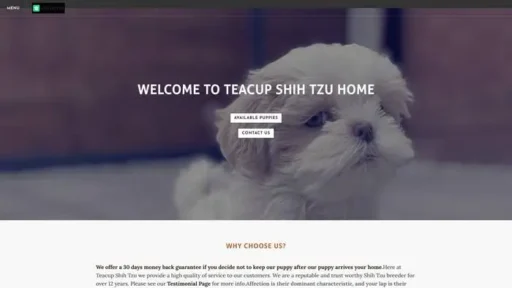Screenshot of