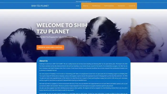 Screenshot of