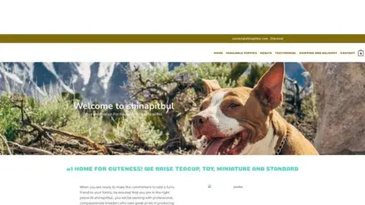 Screenshot of