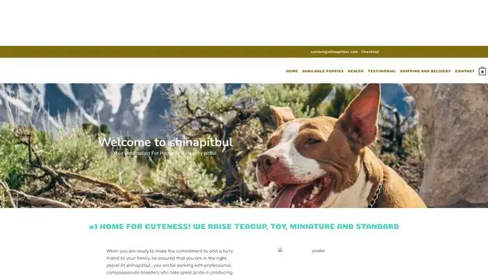 Screenshot of