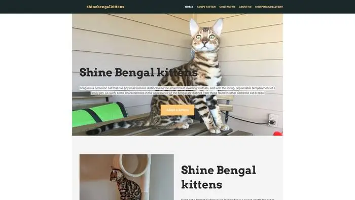 Screenshot of