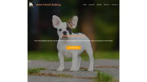 Screenshot of