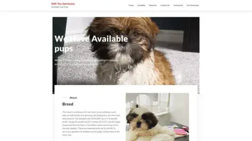 Screenshot of