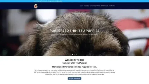 Screenshot of