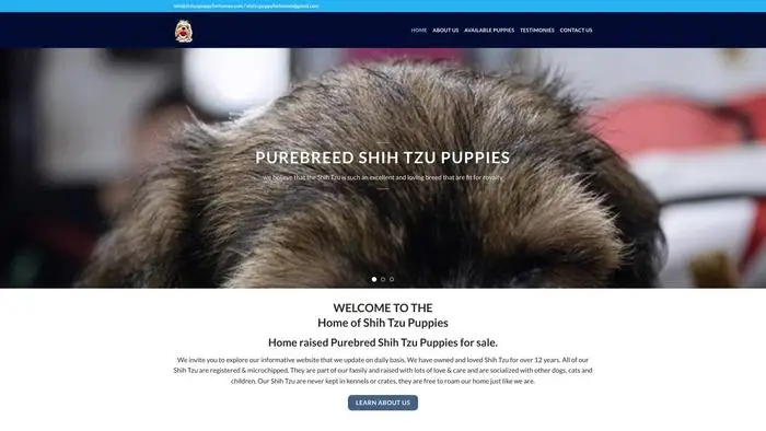 Screenshot of