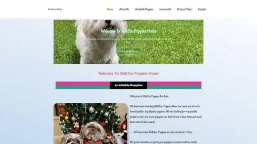 Screenshot of