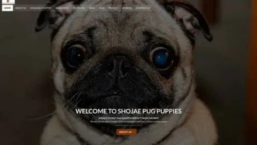 Screenshot of||