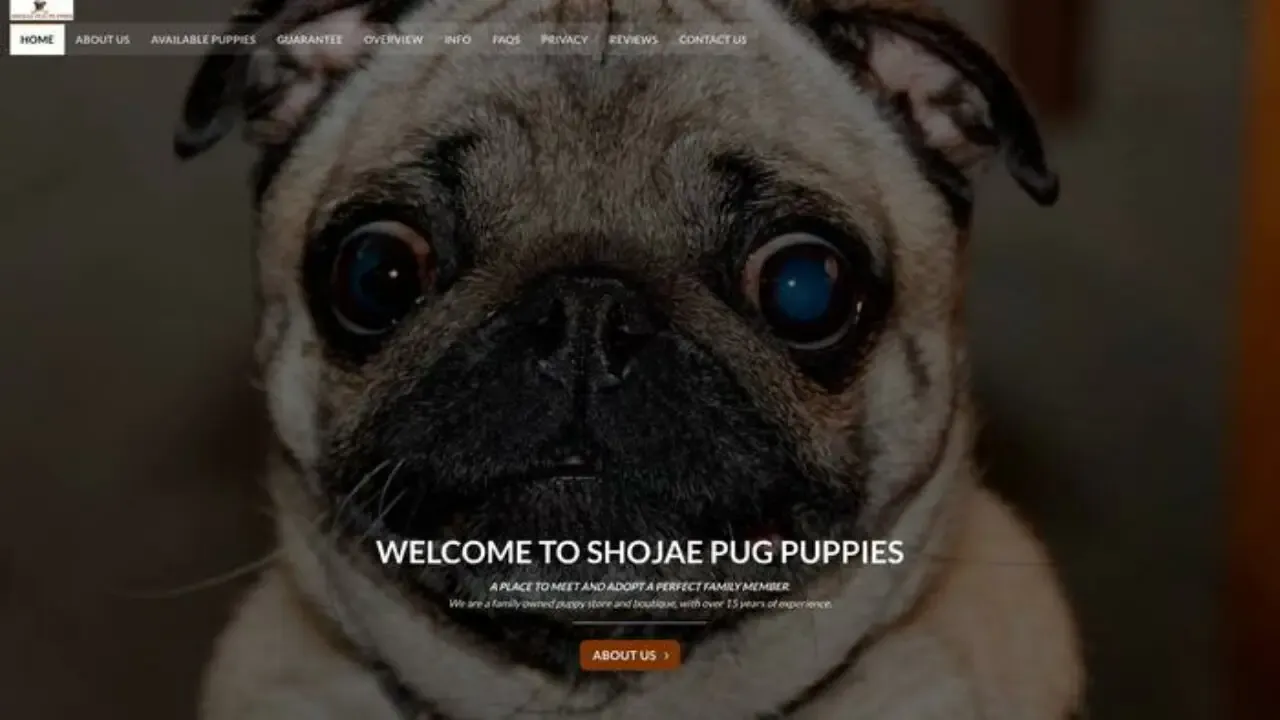 Screenshot of||