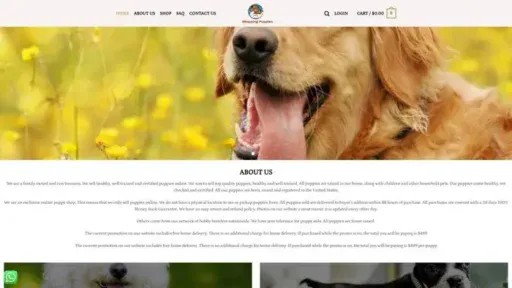 Screenshot of