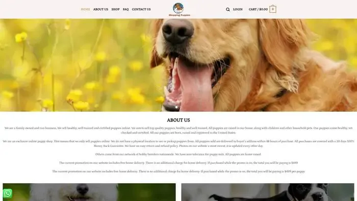 Screenshot of
