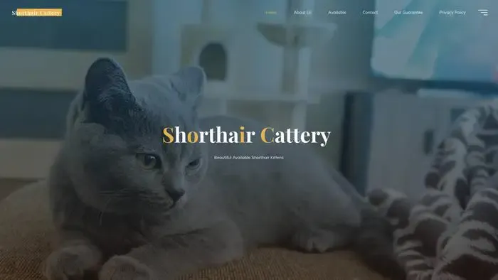 Screenshot of
