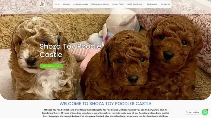 Screenshot of
