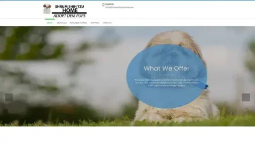 Screenshot of