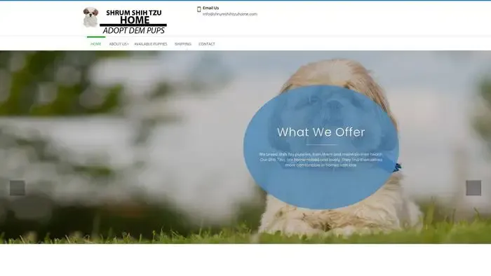 Screenshot of