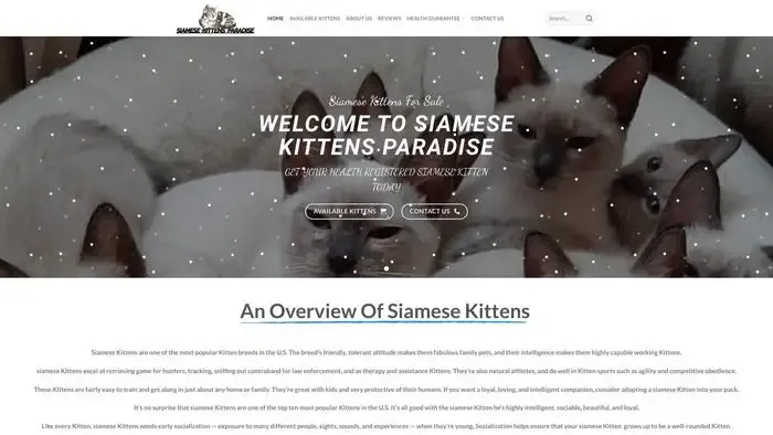 Screenshot of