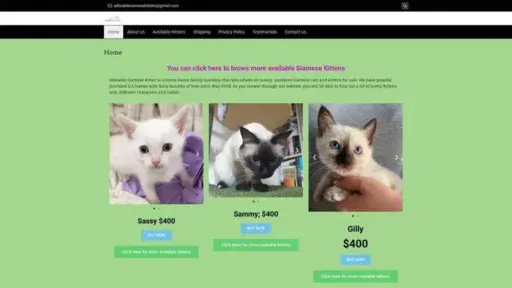 Screenshot of