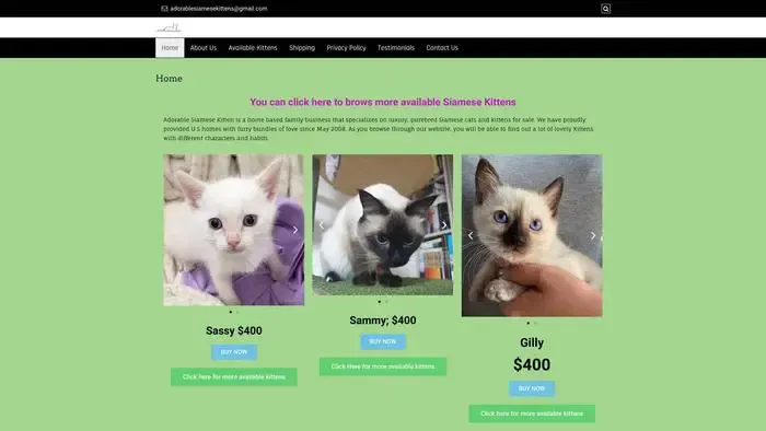 Screenshot of