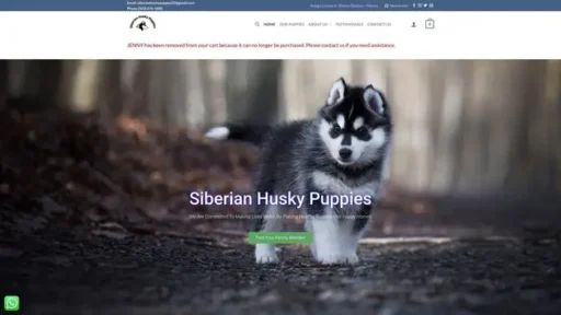 Screenshot of