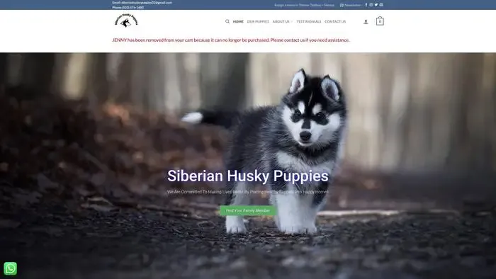 Screenshot of