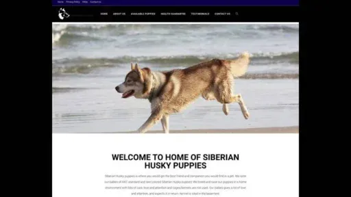 Screenshot of|