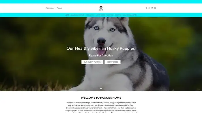 Screenshot of