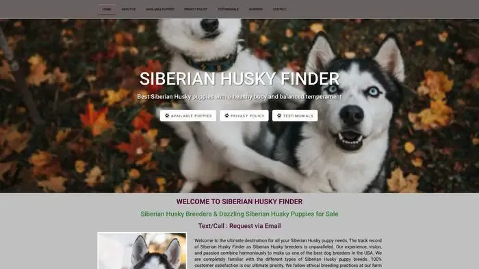 Screenshot of