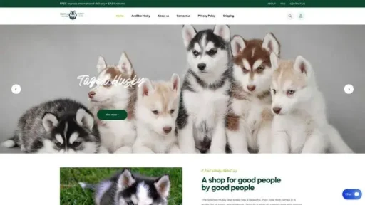 Screenshot of