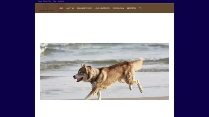 Screenshot of