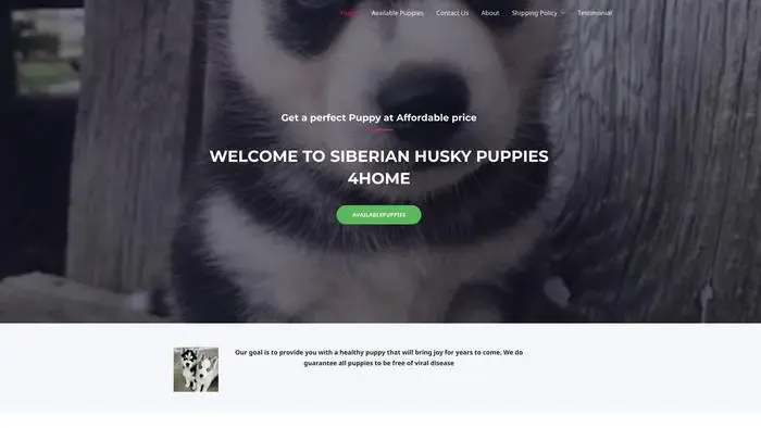 Screenshot of