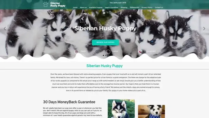 Screenshot of