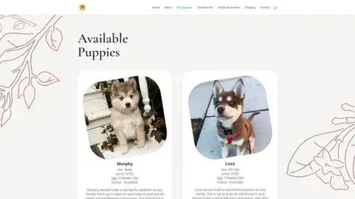 Screenshot of