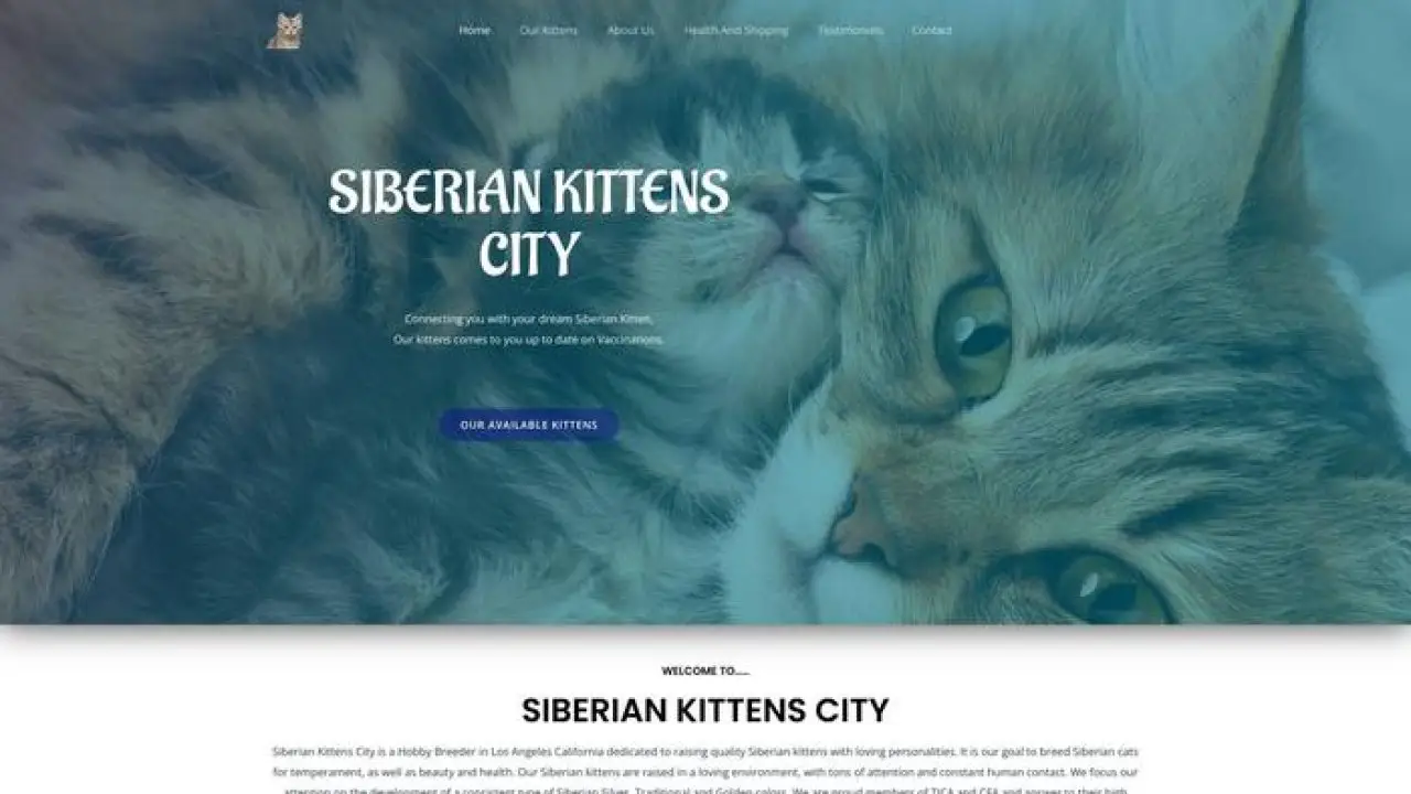 Screenshot of||