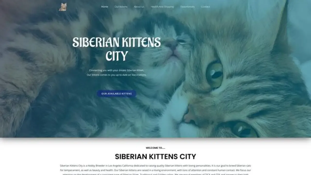 Siberiankittenscity